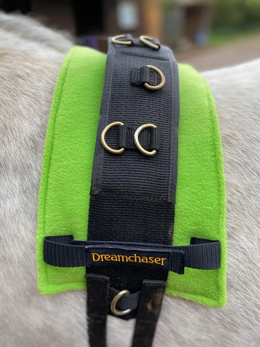 Lunge roller pad harness - /,